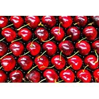 Los mejores  - Eigenmarke - Huesos de cereza para relleno de cojín (5 kg)